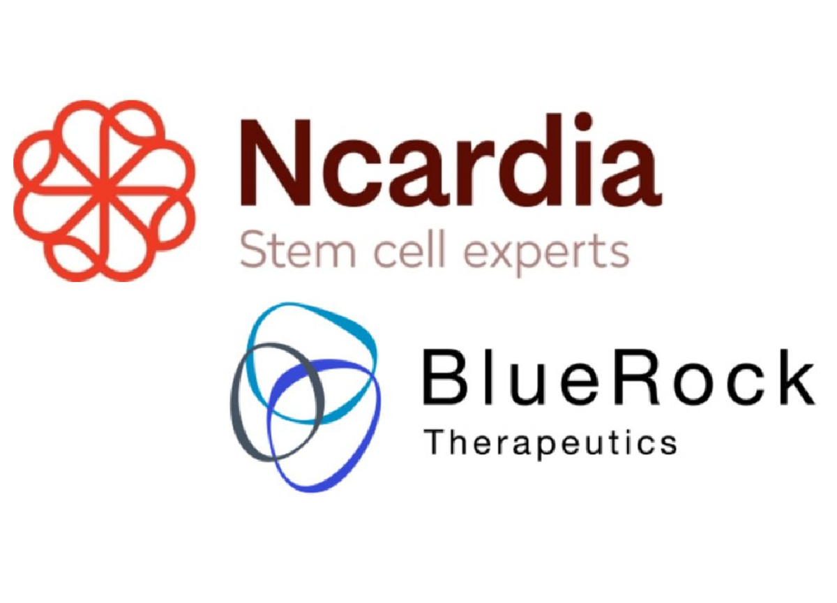 Ncardia and BlueRock Therapeutics Announce Licensing of Process